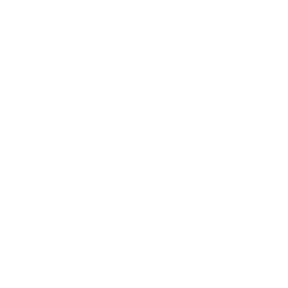 WELLSO HOME Logo